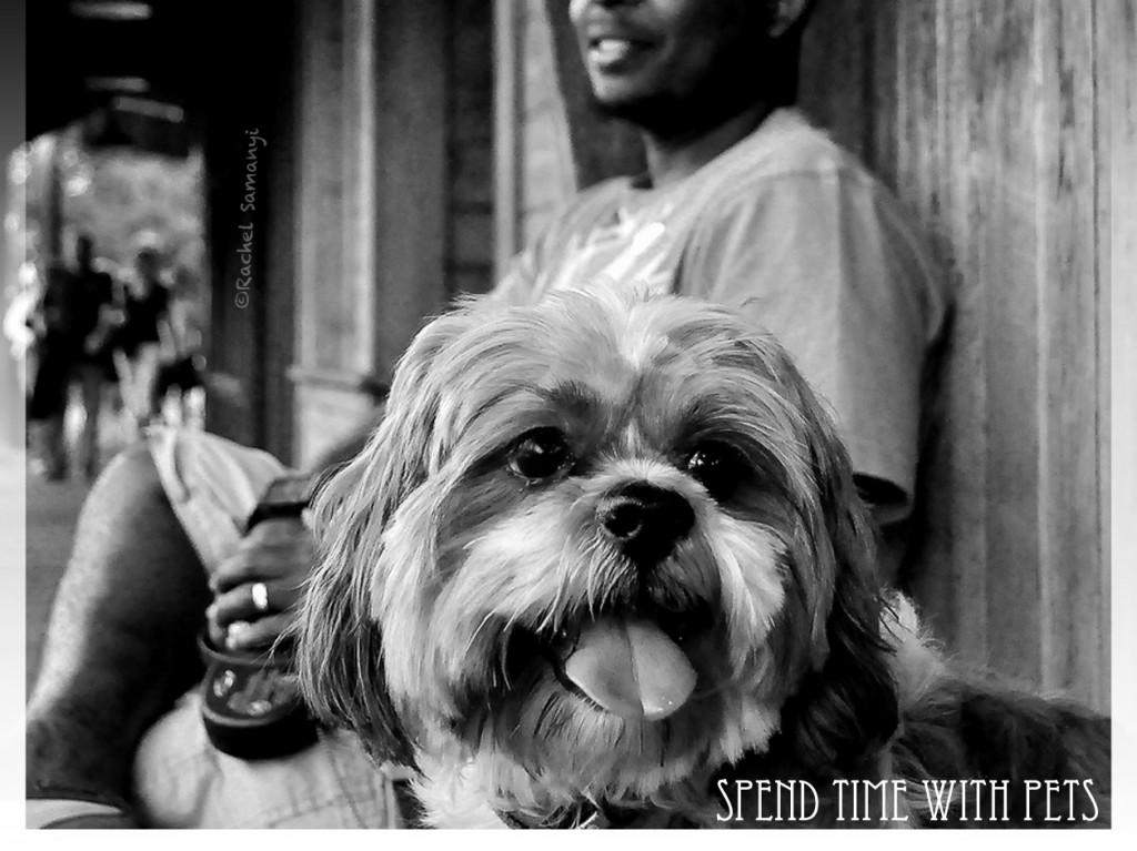 Spend Time with Pets to Be Inspired