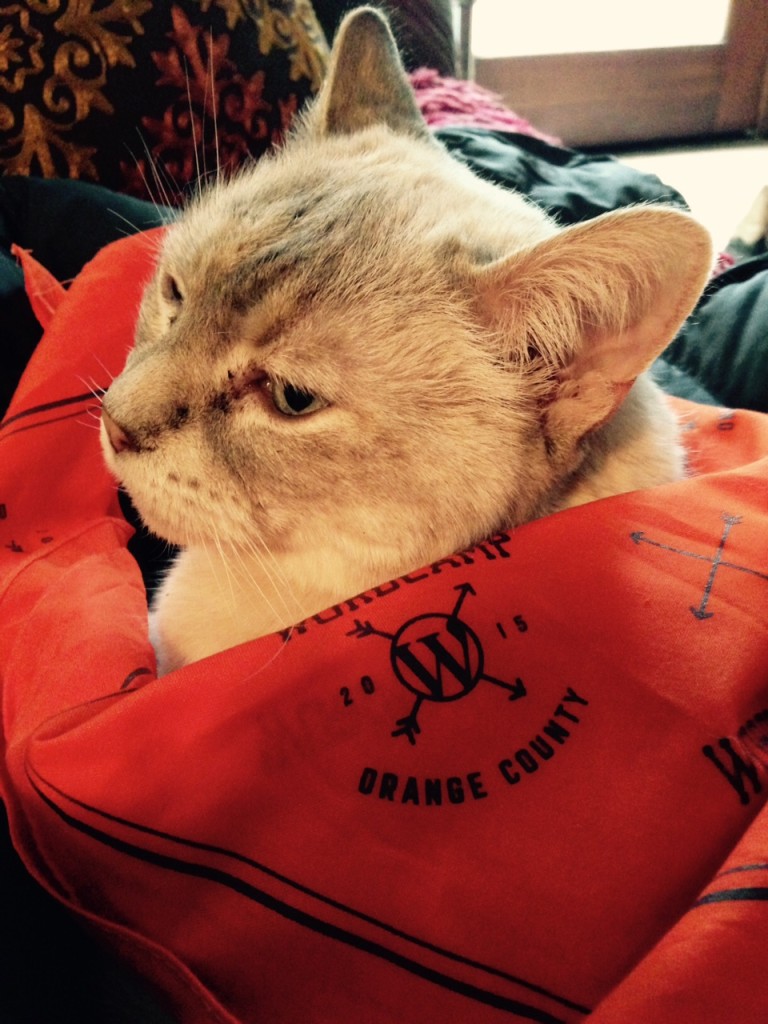 The Wordcamp Bandana doubles as a blanket
