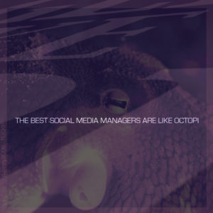 The Best Social Media Managers Are Like Octopi