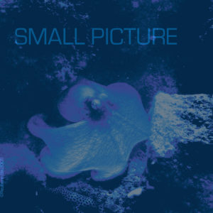 Small Picture