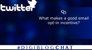 Q3. What makes a good email opt-in incentive?