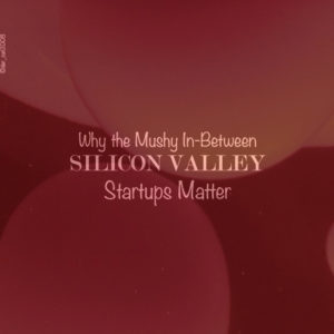 Why the Mushy In-Between Silicon Valley Startups Matter