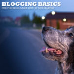 Blogging Basics for the Beginner: How to Get Started