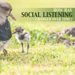 How Has Social Listening Changed over Time?