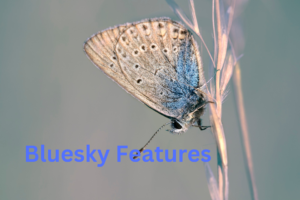 Image by Erik Karits from Pixabay