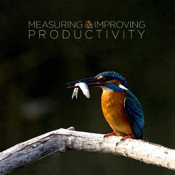 Measuring and Improving Productivity